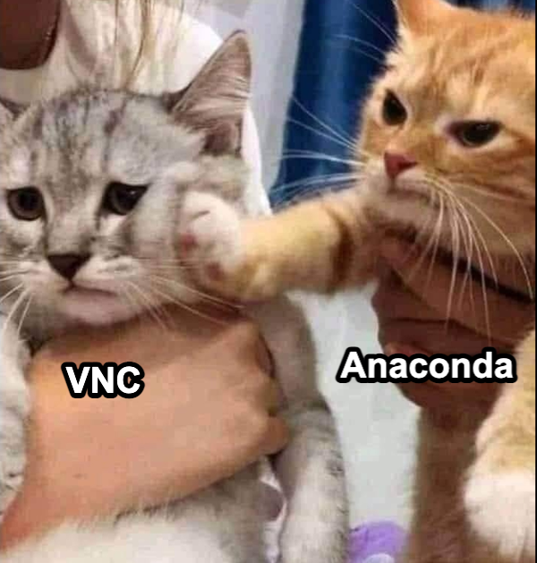 vnc和anaconda冲突解决